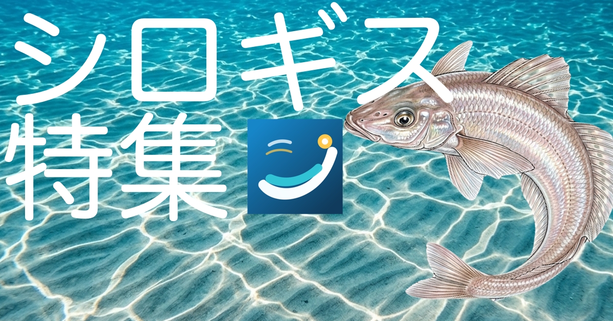 シロギス特集