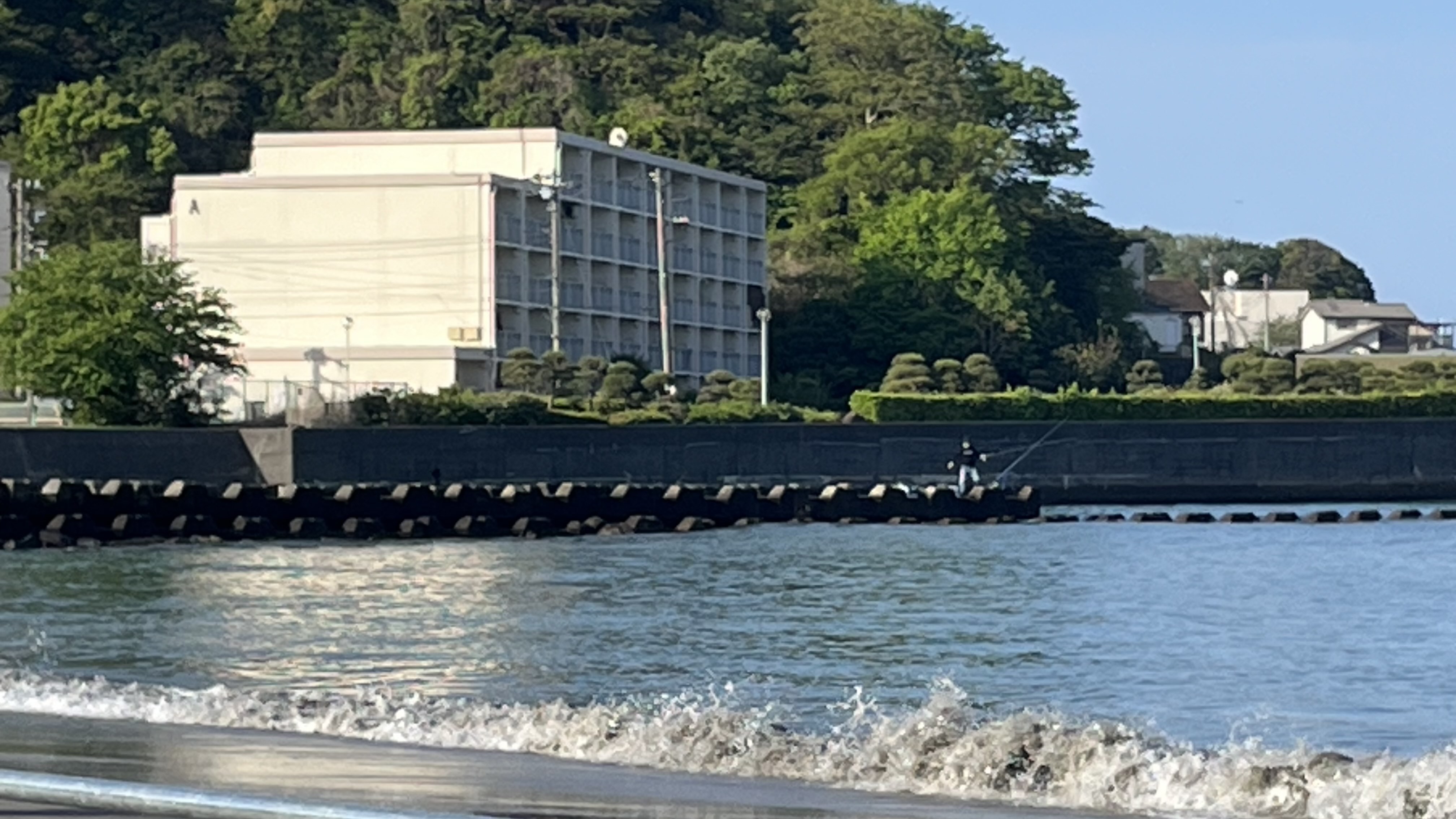 河口の突堤