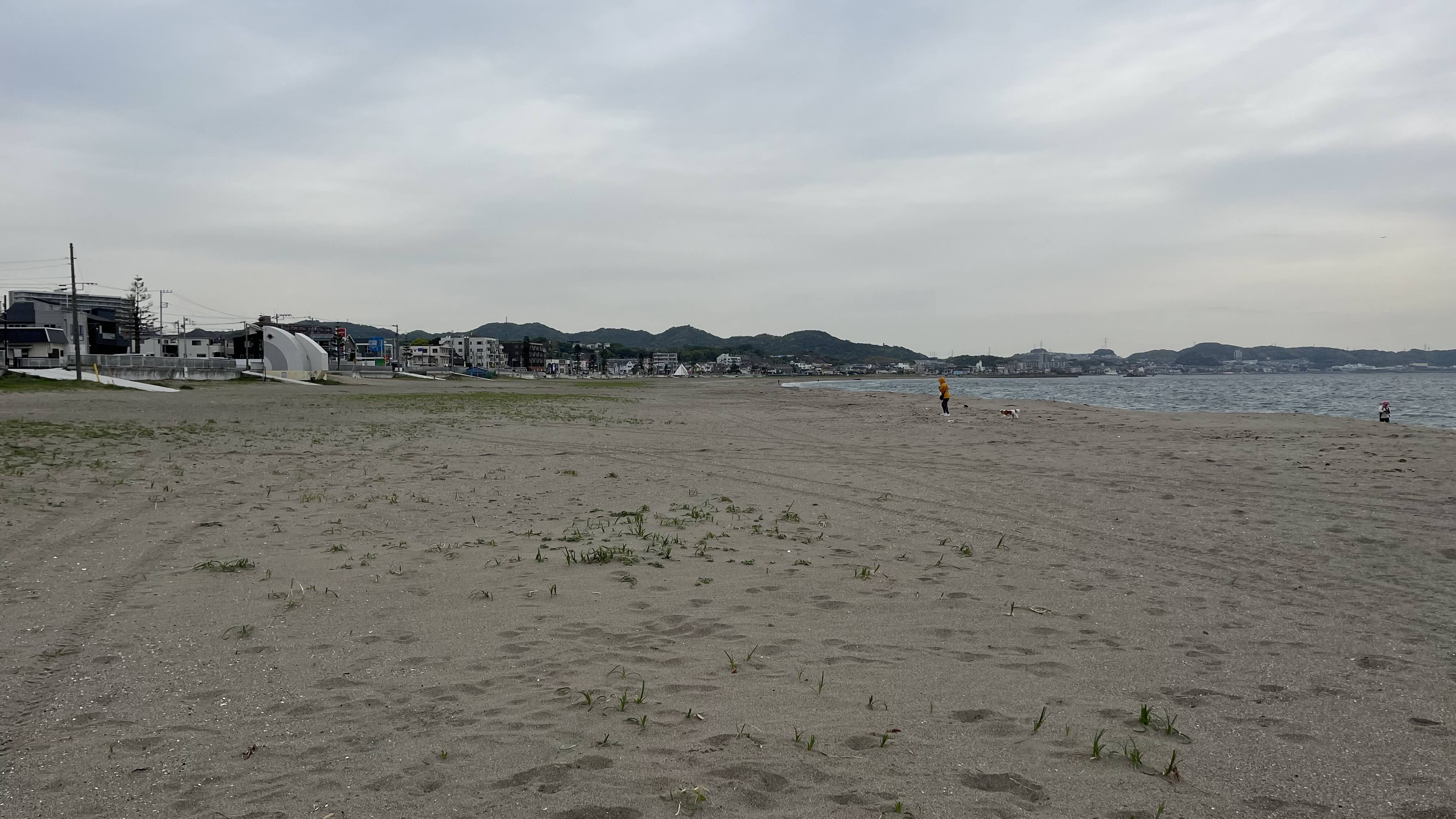 【三浦海岸・投げ釣りレポート】シロギス17尾！ETC忘れが生んだ三浦海岸での爆釣劇