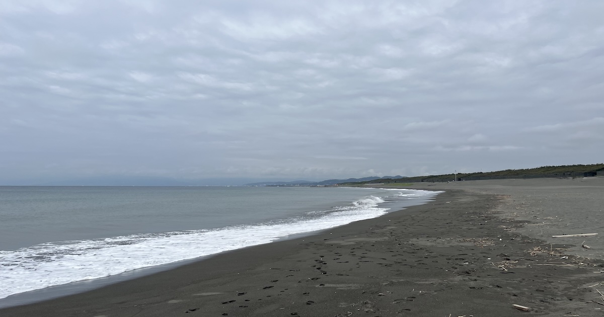 【茅ヶ崎海岸(西浜)・投げ釣りレポート】抹茶ラテ色の濁り潮とフグの絨毯——来週の子供釣り行事に向けた事前調査