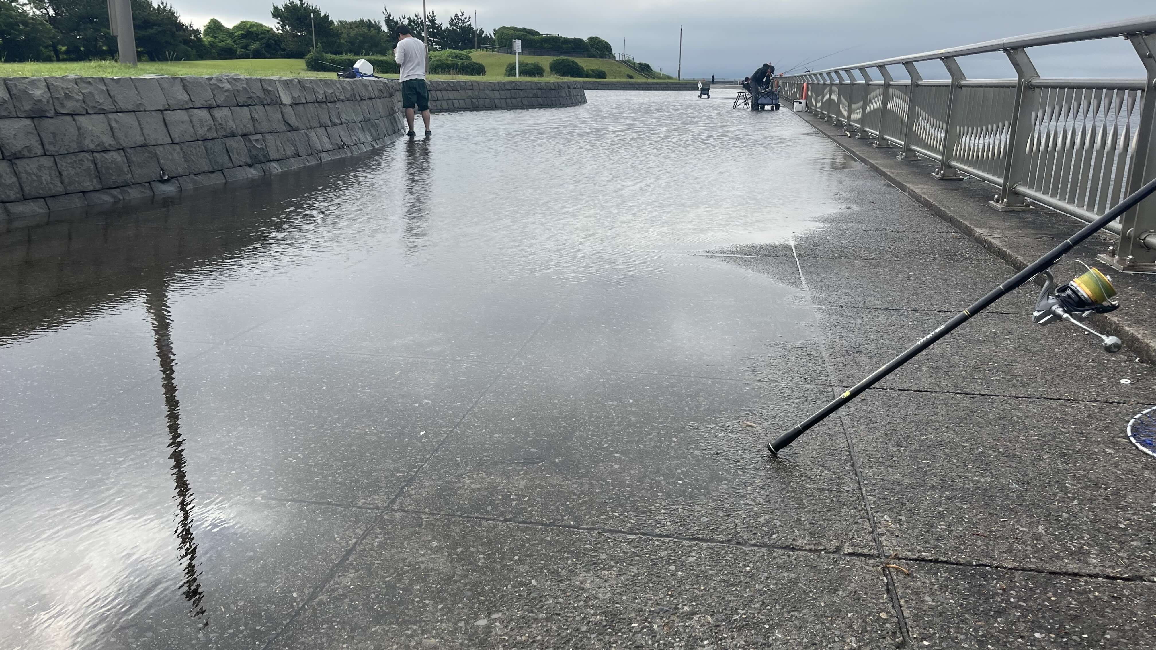 水たまり