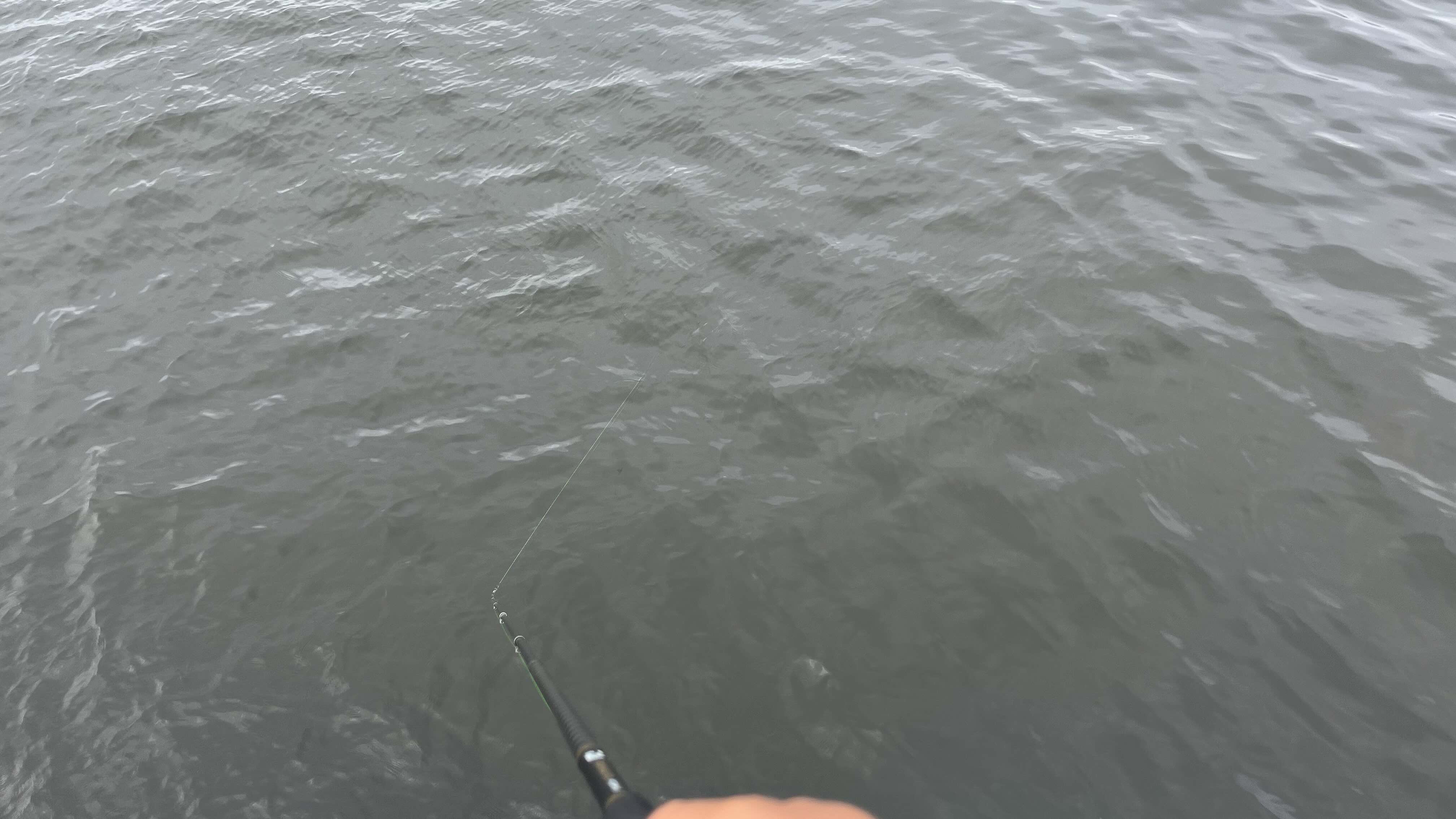待ちの釣り