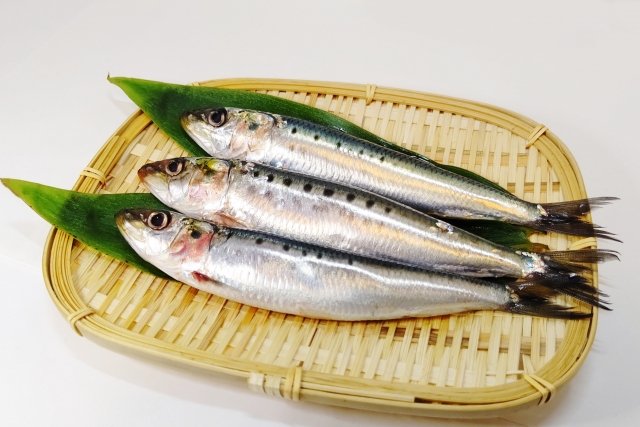 イワシ