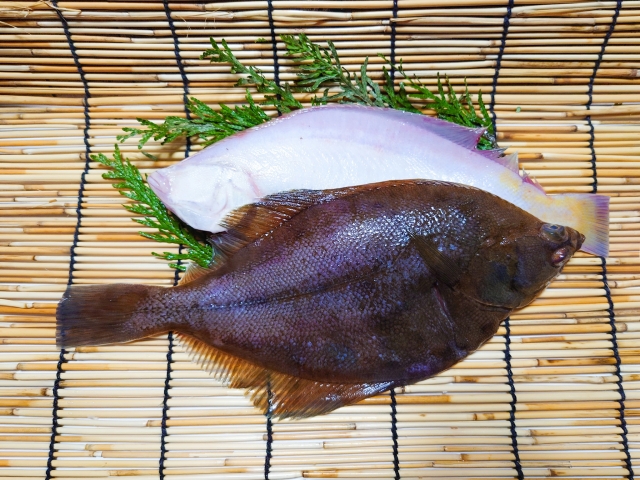 カレイ