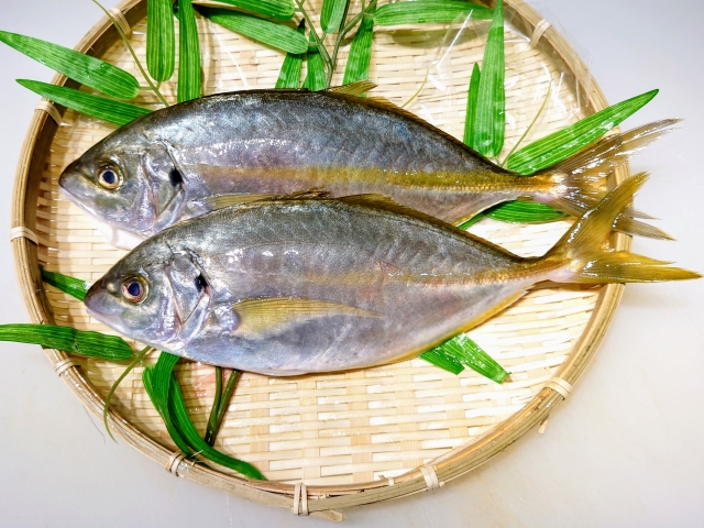 シマアジ