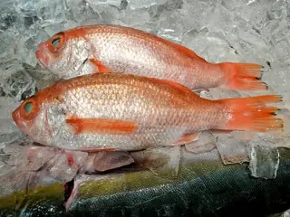 アカムツ