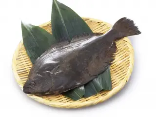 ヒラメ