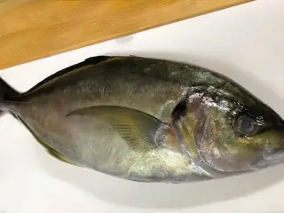 マルアジ